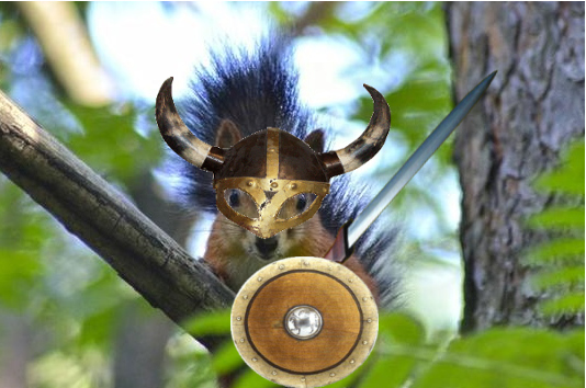 Image result for warrior squirrel